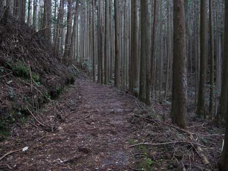 20140105hike (120)